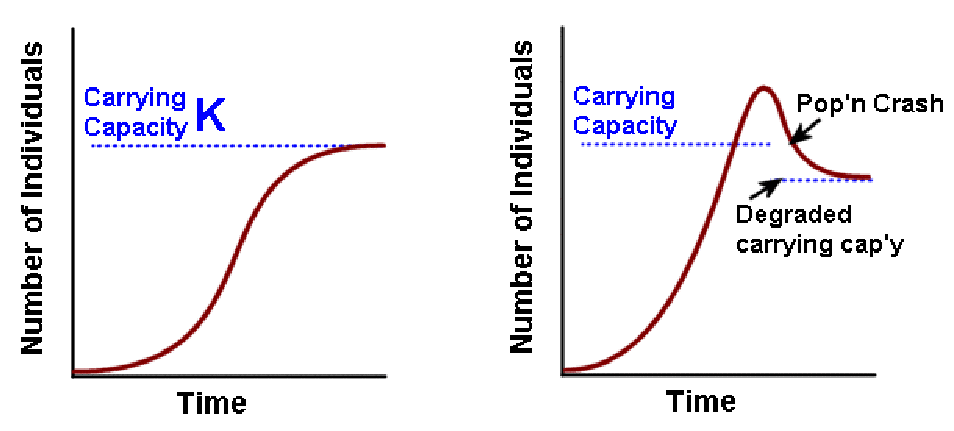 Population and Human Settlements